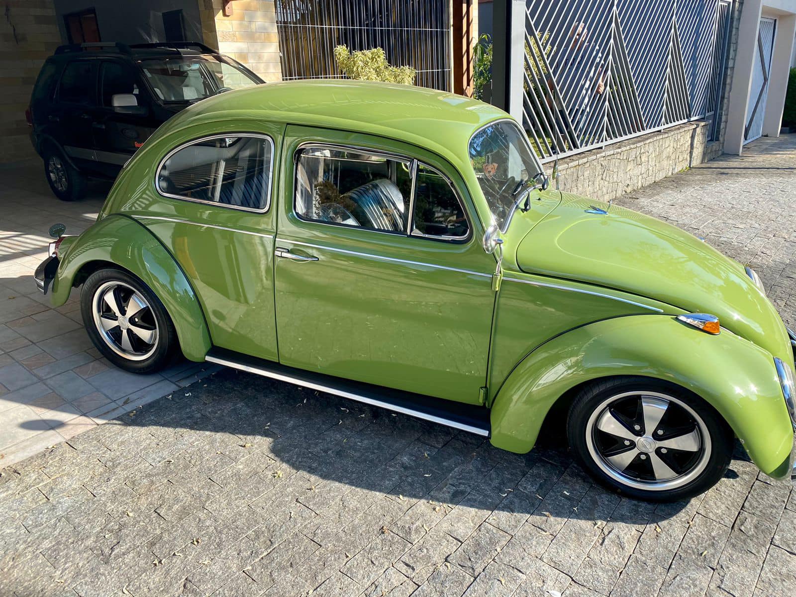 VW Beetle | 1970 | green | 1600cc - Kombi Kings